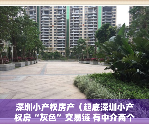 深圳小产权房产（起底深圳小产权房“灰色”交易链 有中介两个月完成全年业绩指标）