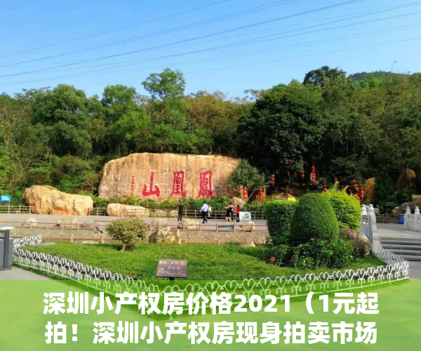 深圳小产权房价格2021（1元起拍！深圳小产权房现身拍卖市场，是掉馅饼还是营销噱头？）