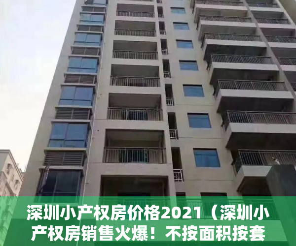 深圳小产权房价格2021（深圳小产权房销售火爆！不按面积按套卖，投资客险中求富…）
