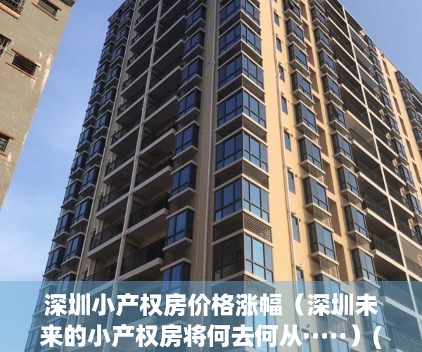 深圳小产权房价格涨幅（深圳未来的小产权房将何去何从·····）(深圳小产权房未来的趋势)