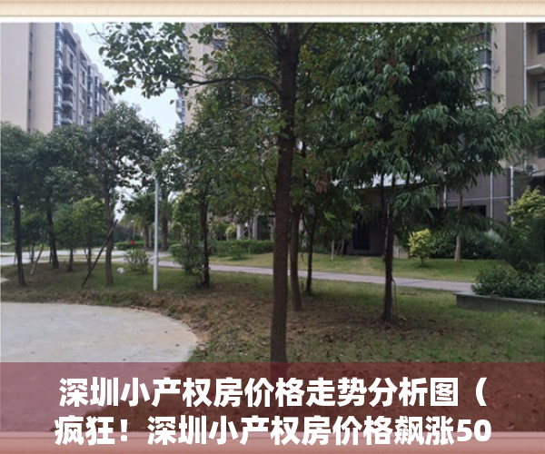 深圳小产权房价格走势分析图（疯狂！深圳小产权房价格飙涨50%，8成购房者为炒房客）