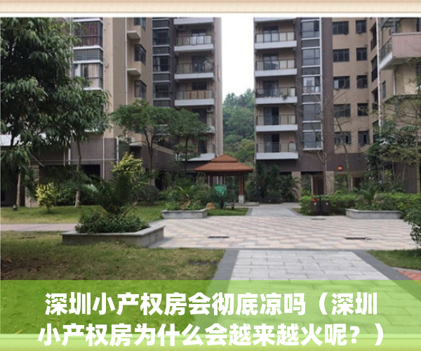 深圳小产权房会彻底凉吗（深圳小产权房为什么会越来越火呢？）(深圳小产权会降价吗)