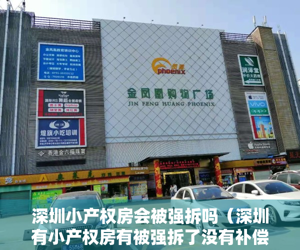 深圳小产权房会被强拆吗（深圳有小产权房有被强拆了没有补偿的吗？）