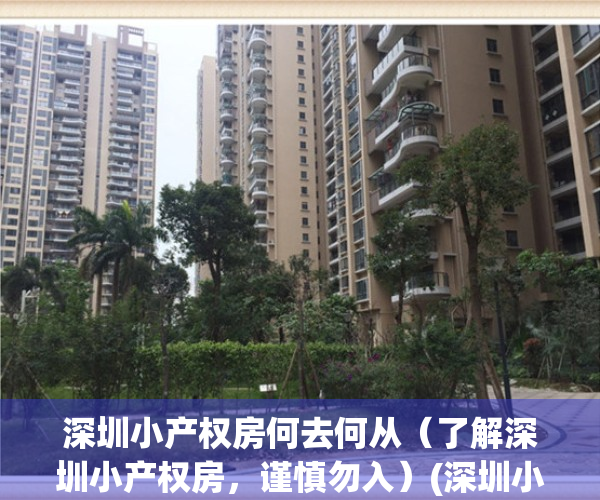 深圳小产权房何去何从（了解深圳小产权房，谨慎勿入）(深圳小产权房有什么弊端)
