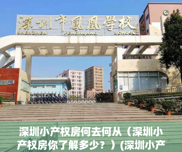 深圳小产权房何去何从（深圳小产权房你了解多少？）(深圳小产权房新政策)