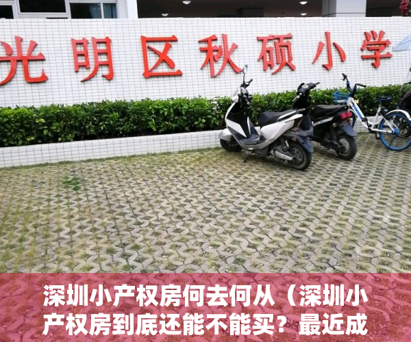 深圳小产权房何去何从（深圳小产权房到底还能不能买？最近成交为何这么火？）