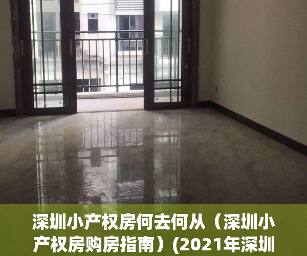 深圳小产权房何去何从（深圳小产权房购房指南）(2021年深圳小产权房怎么处理)