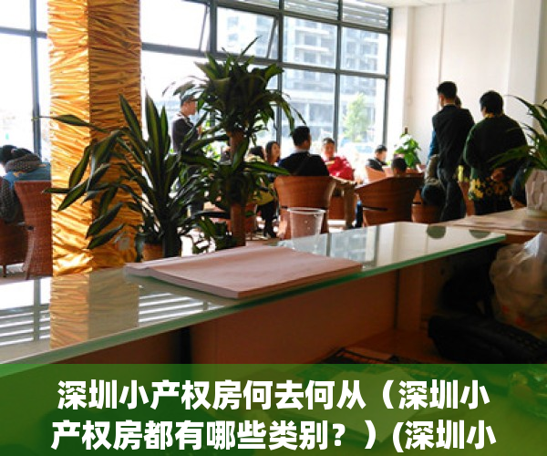 深圳小产权房何去何从（深圳小产权房都有哪些类别？）(深圳小产权房房源)
