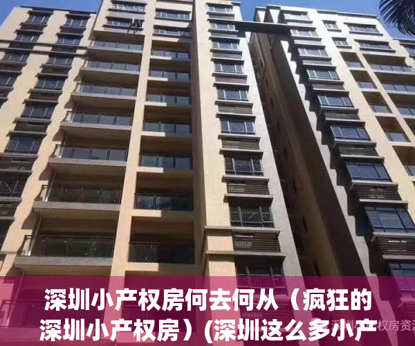 深圳小产权房何去何从（疯狂的深圳小产权房）(深圳这么多小产权房何去何从)