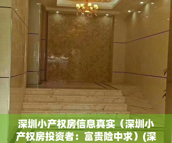 深圳小产权房信息真实（深圳小产权房投资者：富贵险中求）(深圳小产权房价格列表)