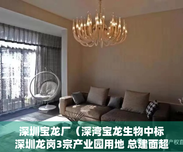 深圳宝龙厂（深湾宝龙生物中标深圳龙岗3宗产业园用地 总建面超25万平）