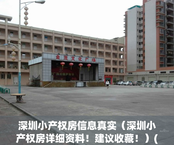 深圳小产权房信息真实（深圳小产权房详细资料！建议收藏！）(2021年深圳小产权房政策解读)
