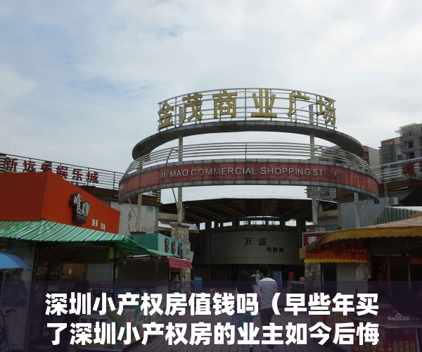 深圳小产权房值钱吗（早些年买了深圳小产权房的业主如今后悔了吗？）