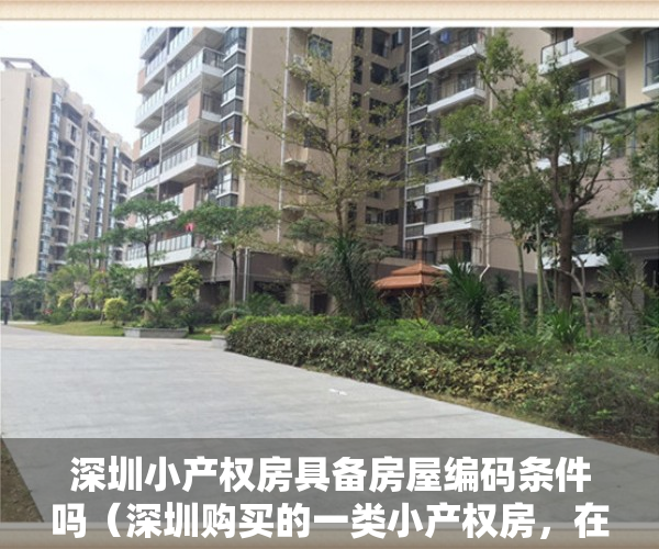 深圳小产权房具备房屋编码条件吗（深圳购买的一类小产权房，在房管局备案了是什么意思？）