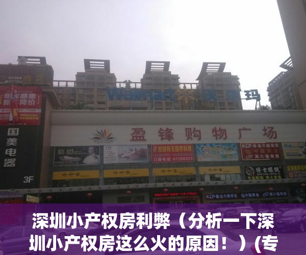 深圳小产权房利弊（分析一下深圳小产权房这么火的原因！）(专家谈深圳小产权房的未来)
