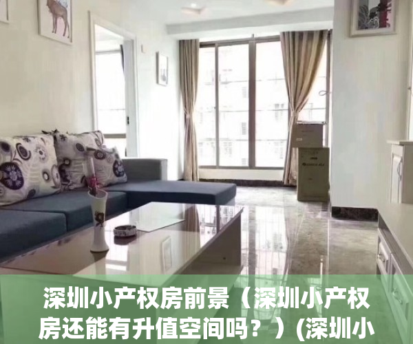 深圳小产权房前景（深圳小产权房还能有升值空间吗？）(深圳小产权房现状)