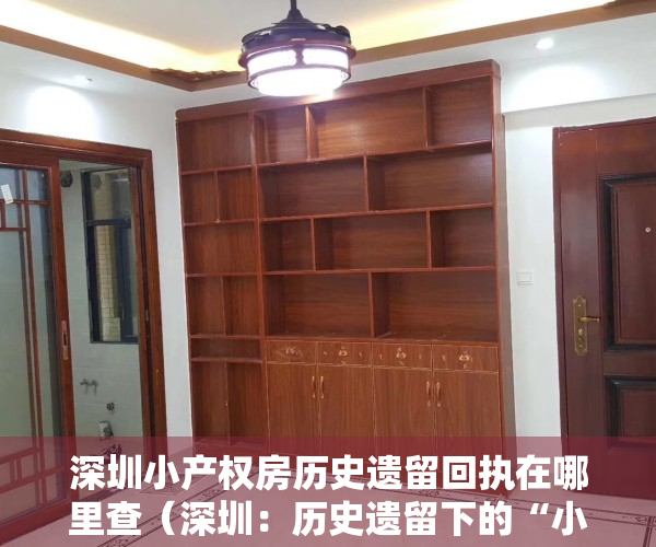 深圳小产权房历史遗留回执在哪里查（深圳：历史遗留下的“小产权房” 一文看懂！）