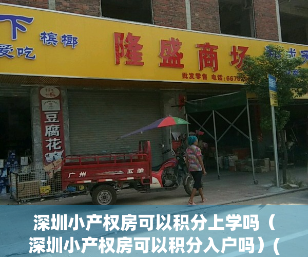 深圳小产权房可以积分上学吗（深圳小产权房可以积分入户吗）(深圳小产权房小孩可以办理入学嘛)