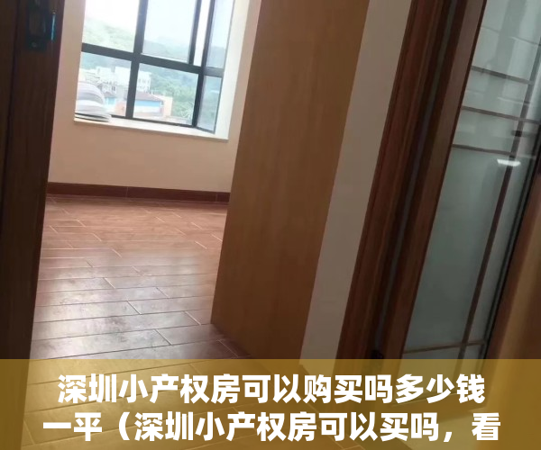 深圳小产权房可以购买吗多少钱一平（深圳小产权房可以买吗，看完你就明白啦）