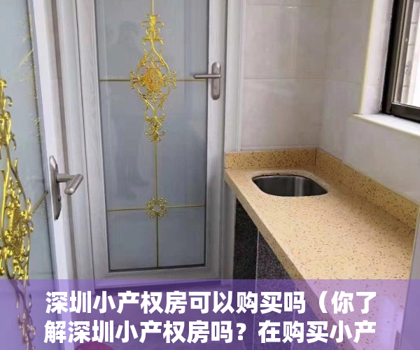 深圳小产权房可以购买吗（你了解深圳小产权房吗？在购买小产权房的时候要注意哪些事项？如何规避风险？小产权房的学位如何解决？）