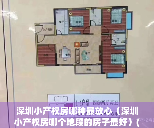 深圳小产权房哪种最放心（深圳小产权房哪个地段的房子最好）(深圳小产权房在哪里有房源)