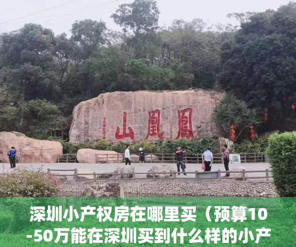深圳小产权房在哪里买（预算10-50万能在深圳买到什么样的小产权房？）(深圳小产权房在哪里有房源)