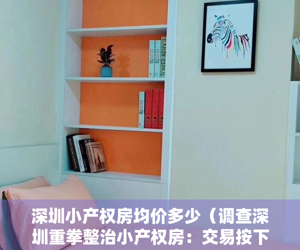 深圳小产权房均价多少（调查深圳重拳整治小产权房：交易按下暂停键 多家中介被“查封”）