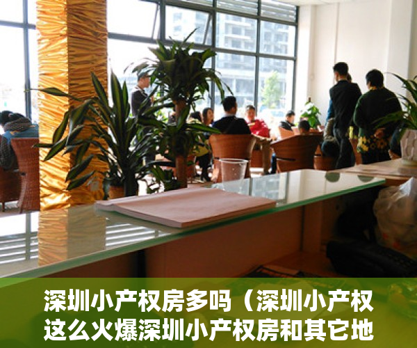 深圳小产权房多吗（深圳小产权这么火爆深圳小产权房和其它地方的小产权有什么区别？）