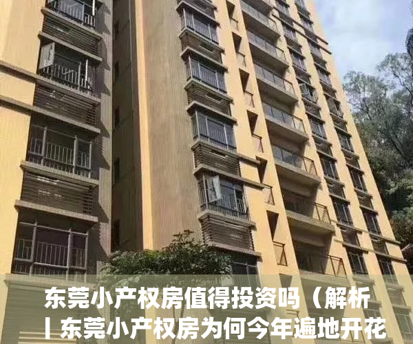 东莞小产权房值得投资吗（解析丨东莞小产权房为何今年遍地开花？）(东莞小产权房价2020最新价格)