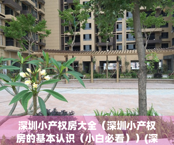 深圳小产权房大全（深圳小产权房的基本认识（小白必看））(深圳小产权房介绍)