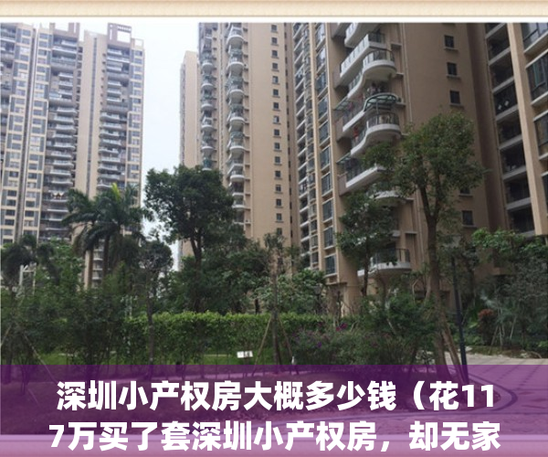 深圳小产权房大概多少钱（花117万买了套深圳小产权房，却无家可归！）(深圳小产权房价格是多少)