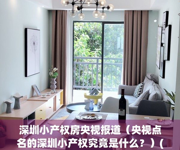深圳小产权房央视报道（央视点名的深圳小产权究竟是什么？）(中央会议就深圳小产权房提出指导意见)