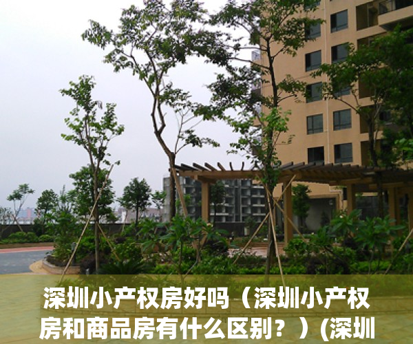 深圳小产权房好吗（深圳小产权房和商品房有什么区别？）(深圳小产权房贵吗)
