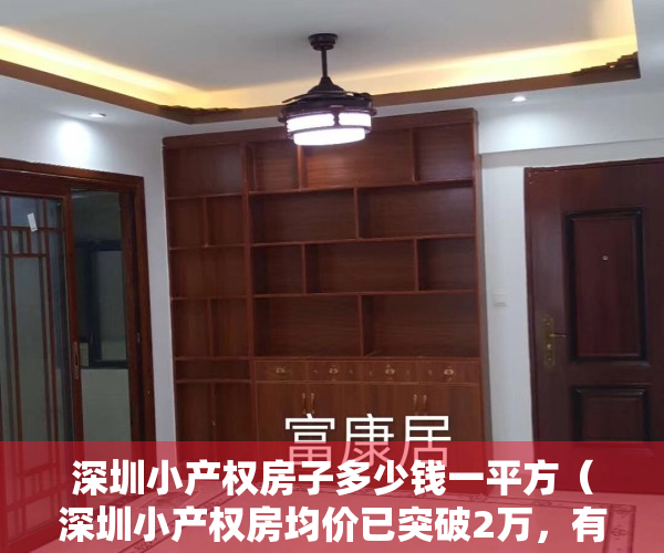 深圳小产权房子多少钱一平方（深圳小产权房均价已突破2万，有中介表示：出来一套卖掉一套！）