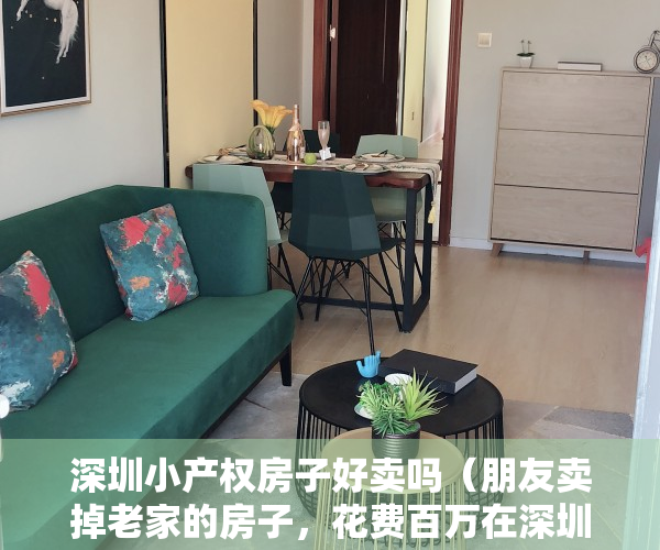 深圳小产权房子好卖吗（朋友卖掉老家的房子，花费百万在深圳置换小产权房子，结局如何？）