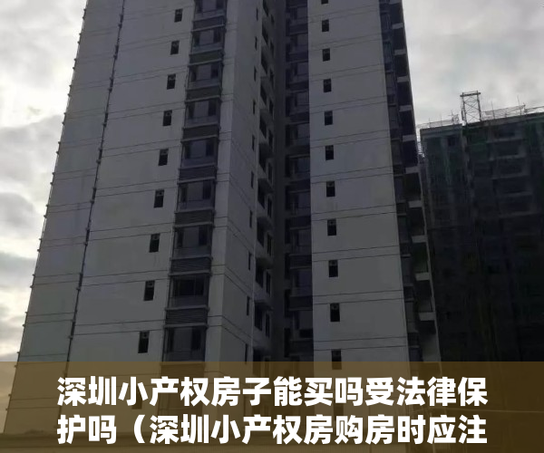 深圳小产权房子能买吗受法律保护吗（深圳小产权房购房时应注意什么）
