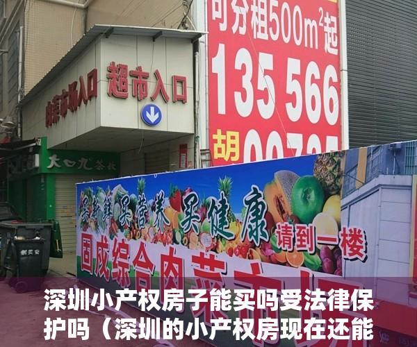 深圳小产权房子能买吗受法律保护吗（深圳的小产权房现在还能不能买？为什么？）