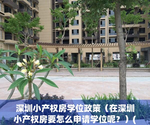 深圳小产权房学位政策（在深圳小产权房要怎么申请学位呢？）(深圳小产权房如何申请学位)
