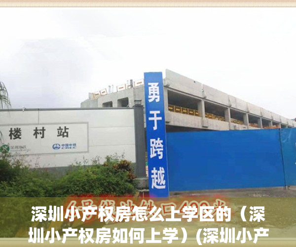 深圳小产权房怎么上学区的（深圳小产权房如何上学）(深圳小产权房入学申请属于几类)
