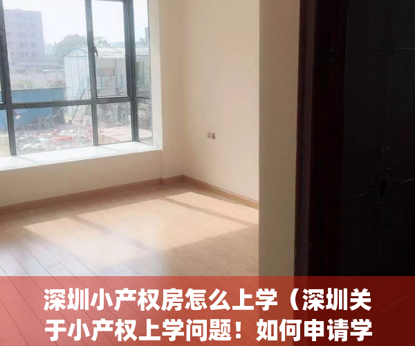 深圳小产权房怎么上学（深圳关于小产权上学问题！如何申请学位!）(深圳小产权房有学区吗)