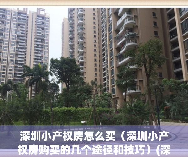 深圳小产权房怎么买（深圳小产权房购买的几个途径和技巧）(深圳小产权房购买须知)