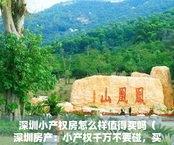 深圳小产权房怎么样值得买吗（深圳房产：小产权千万不要碰，买过的人后悔莫及）