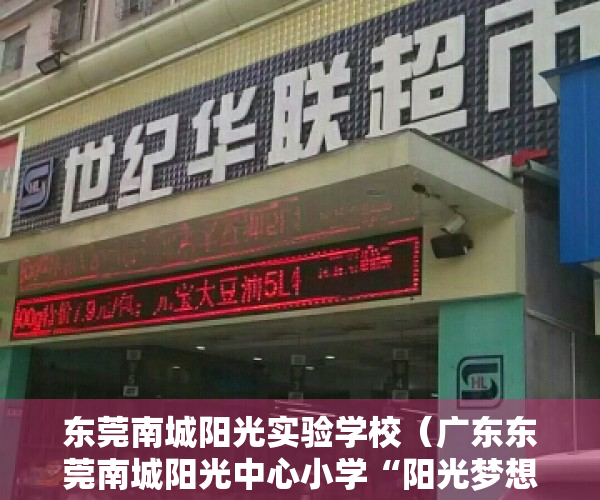 东莞南城阳光实验学校（广东东莞南城阳光中心小学“阳光梦想号”列车启航）