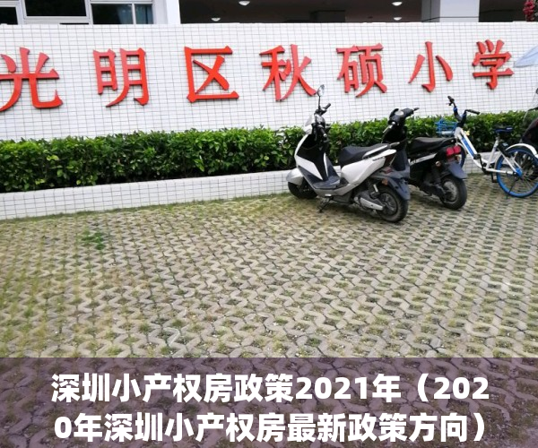 深圳小产权房政策2021年（2020年深圳小产权房最新政策方向）(深圳小产权房新规定)