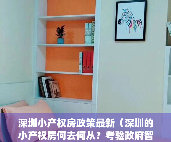 深圳小产权房政策最新（深圳的小产权房何去何从？考验政府智慧）(2021深圳小产权房最新政策)