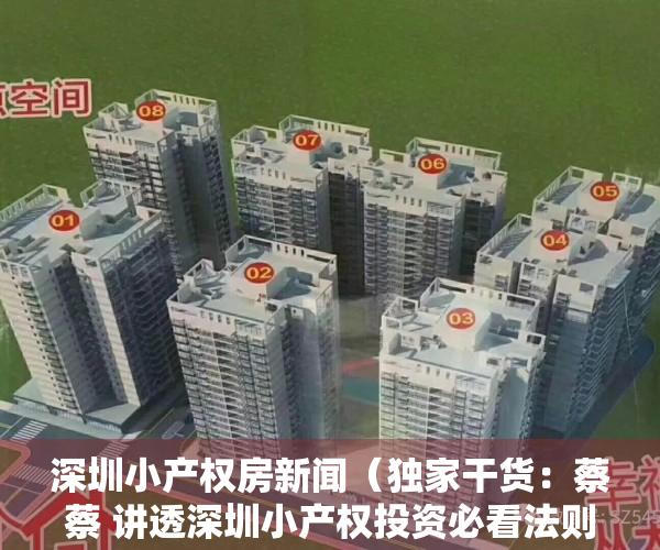 深圳小产权房新闻（独家干货：蔡蔡 讲透深圳小产权投资必看法则！）