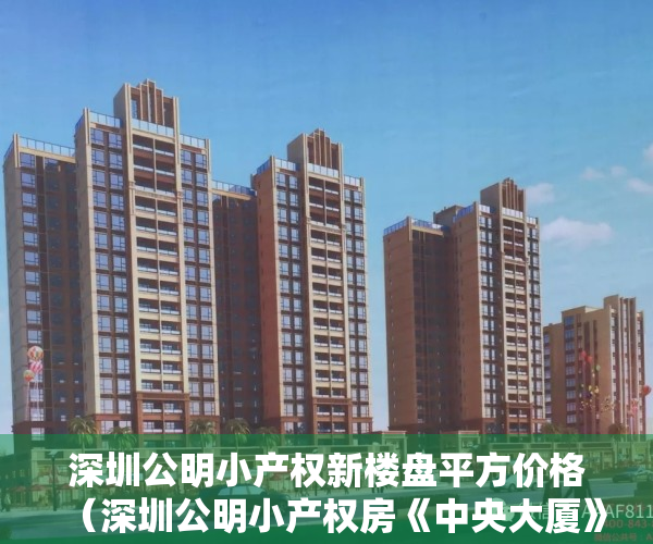 深圳公明小产权新楼盘平方价格（深圳公明小产权房《中央大厦》楼村地铁口 原始大户型 698万起）