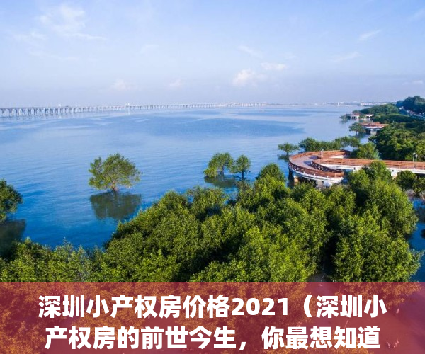 深圳小产权房价格2021（深圳小产权房的前世今生，你最想知道的故事！）(深圳小产权房价多少钱一平方)