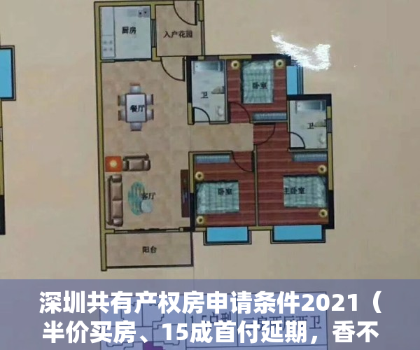 深圳共有产权房申请条件2021（半价买房、15成首付延期，香不香？深圳共有产权房实探！）