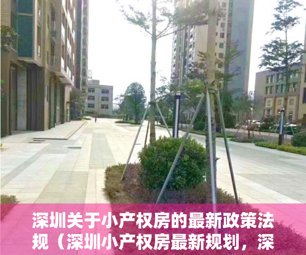 深圳关于小产权房的最新政策法规（深圳小产权房最新规划，深圳共有产权房一览表）